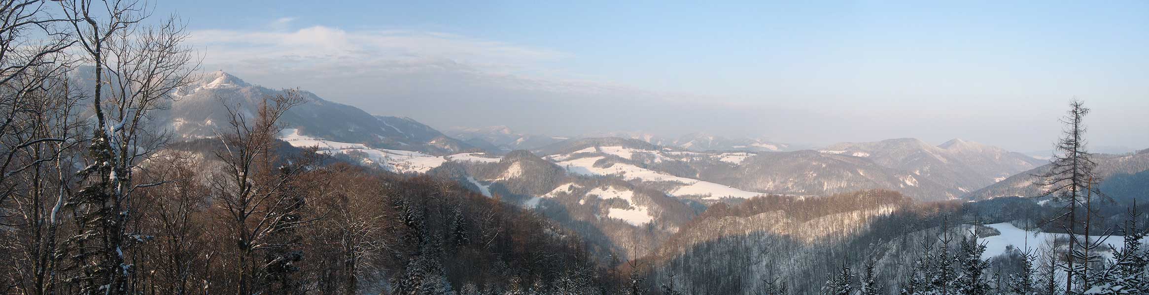 Panorama vom Muckenkogel bis ins Flachland